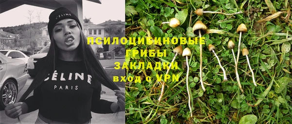 гашик Арсеньев