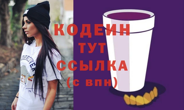 гашик Арсеньев