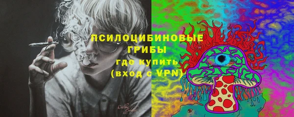 гашик Арсеньев