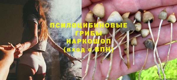 круглые Аркадак