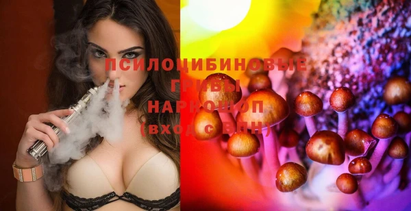 круглые Аркадак
