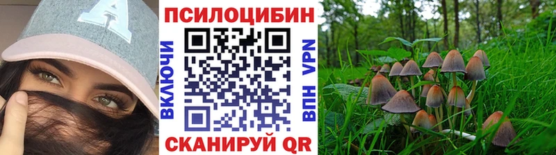 мега онион Сорск маркетплейс Telegram Псилоцибиновые грибы мицелий