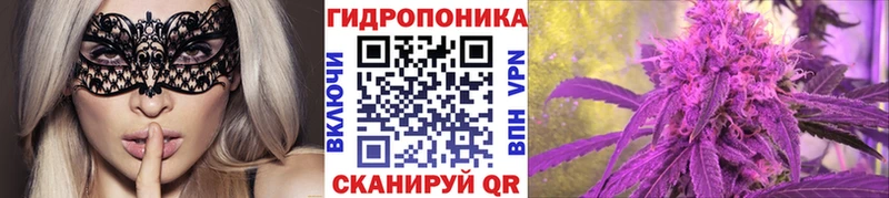 площадка клад  Сорск  Бошки марихуана White Widow 